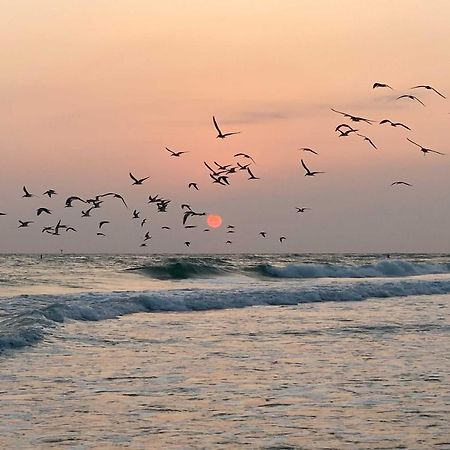 Lido Key Hideout With Patio And Yard And Walk To Beach! Sarasota Zewnętrze zdjęcie