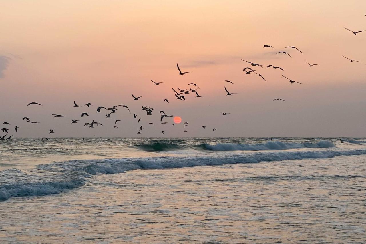 Lido Key Hideout With Patio And Yard And Walk To Beach! Sarasota Zewnętrze zdjęcie